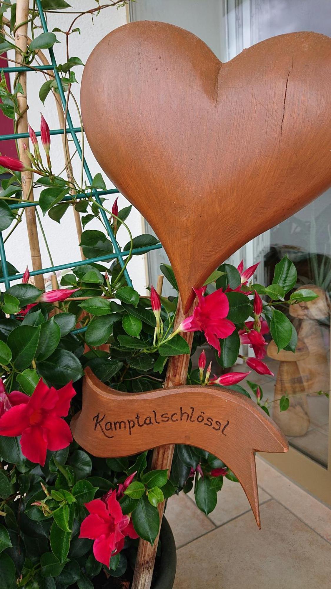 Kamptalschloessl 호텔 Plank am Kamp 외부 사진